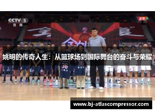 姚明的传奇人生：从篮球场到国际舞台的奋斗与荣耀