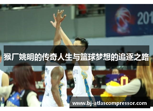 猴厂姚明的传奇人生与篮球梦想的追逐之路