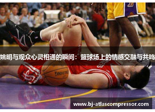 姚明与观众心灵相通的瞬间：篮球场上的情感交融与共鸣