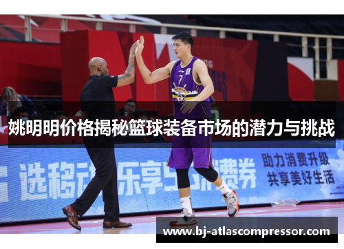 姚明明价格揭秘篮球装备市场的潜力与挑战
