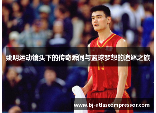 姚明运动镜头下的传奇瞬间与篮球梦想的追逐之旅