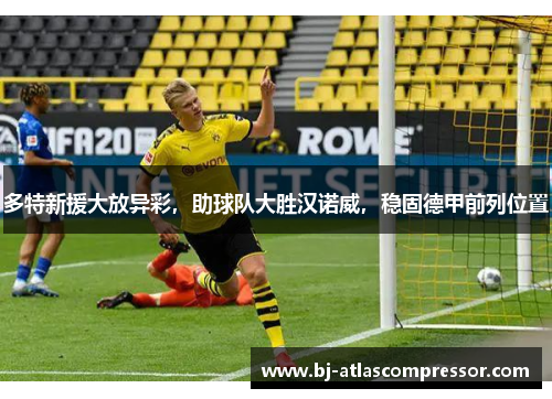 多特新援大放异彩，助球队大胜汉诺威，稳固德甲前列位置